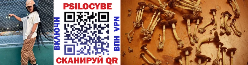 KRAKEN ТОР  Полтавская  Галлюциногенные грибы Psilocybine cubensis 